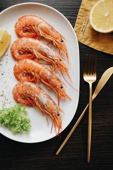 Seafood category concept image